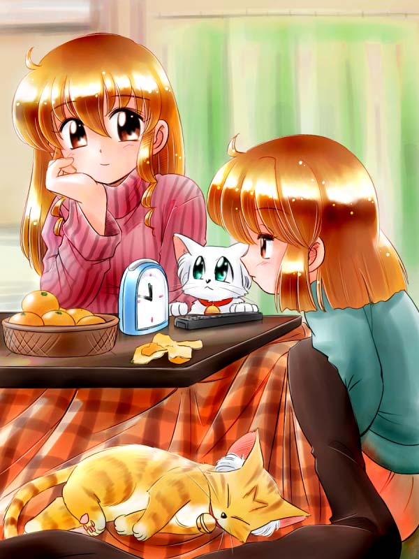 �N�z��������