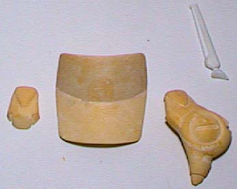 ���쒆�w�b�h�M�A�p�[�c