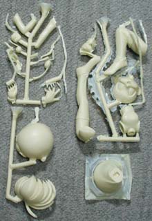 �L���X�g�p�[�c