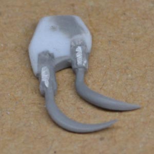 ���݂���