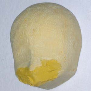 ���~�V�[�g