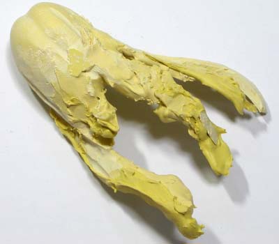 �支�̖уp�[�c