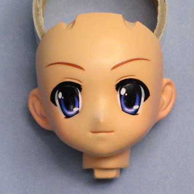 �h���ς݊�