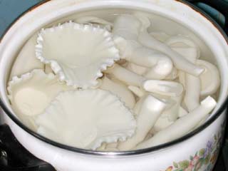 �p�[�c���