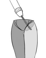 �ڍ����̌�����