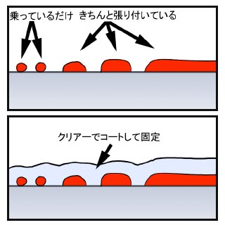 �R�[�g�̈Ӗ�