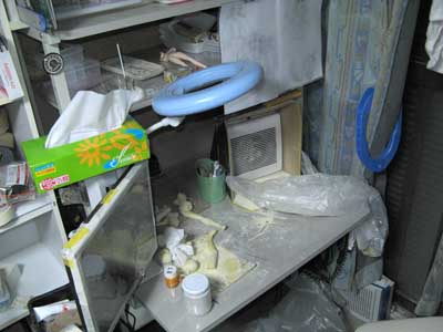 ��蕲�΍� ����2-1